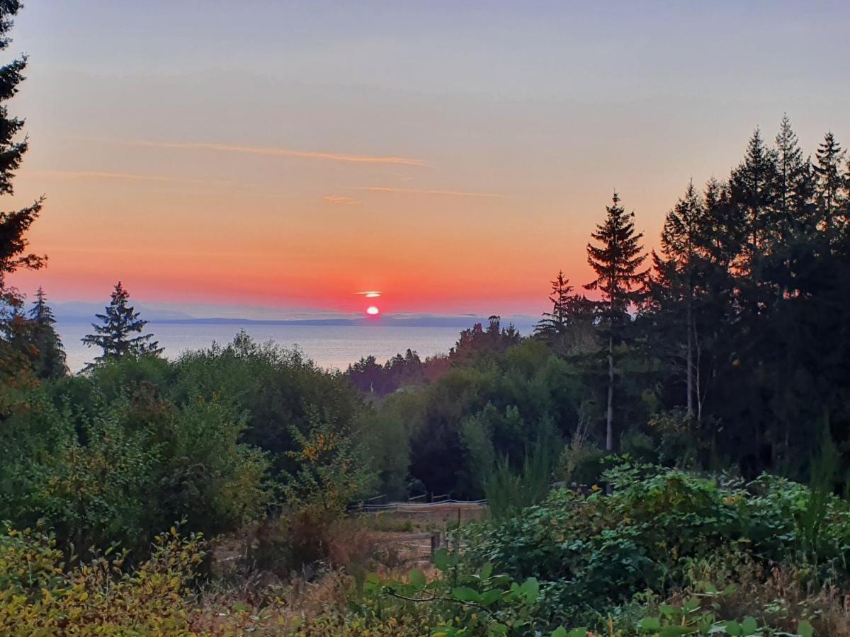 Forest By The Sea Rentals Merville Экстерьер фото