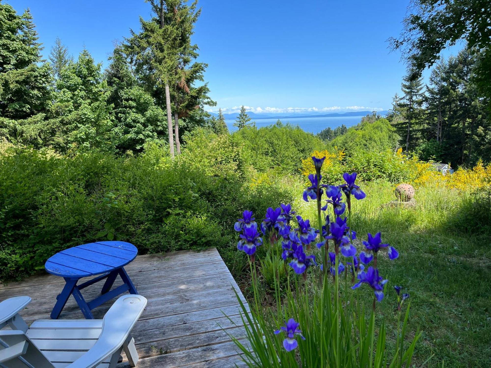 Forest By The Sea Rentals Merville Экстерьер фото